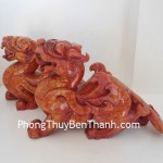 ty-huu-gan-huyet-do-02